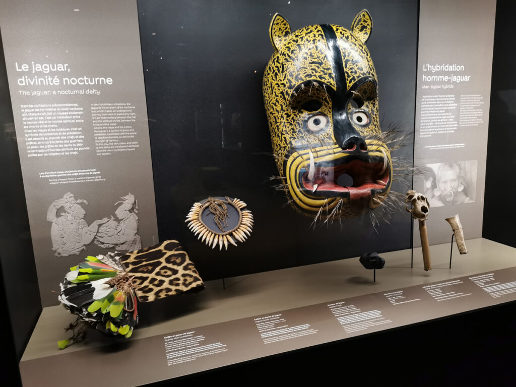 expo Félins au Muséum National d'Histoire Naturelle