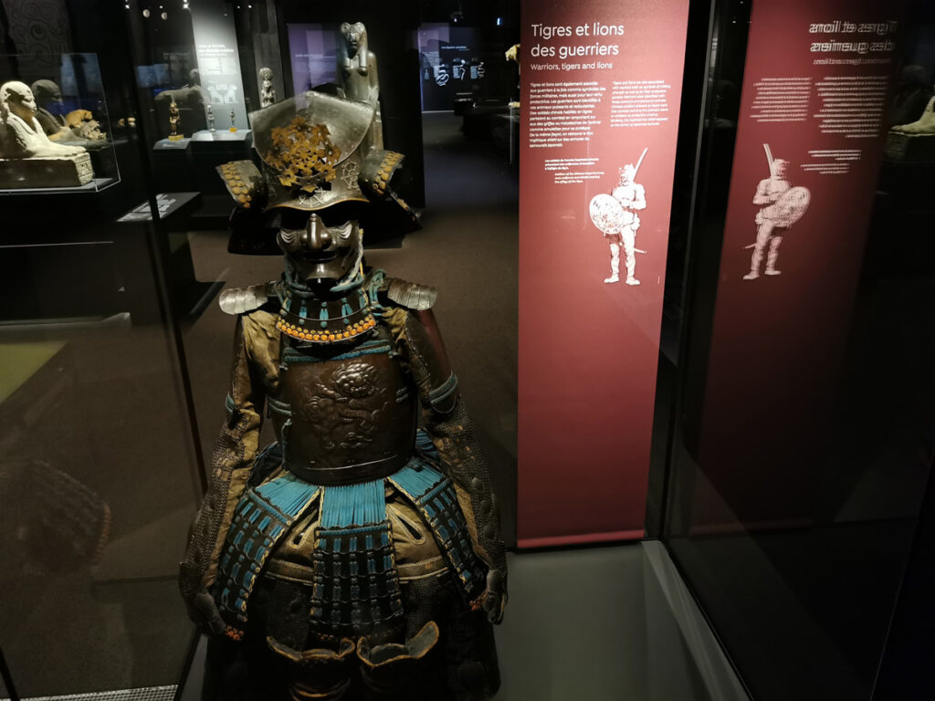 expo Félins au Muséum National d'Histoire Naturelle