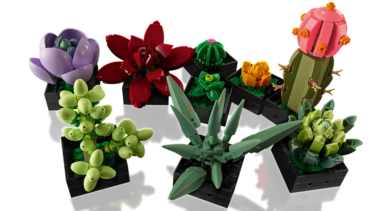 Les succulentes LEGO (49.99€)