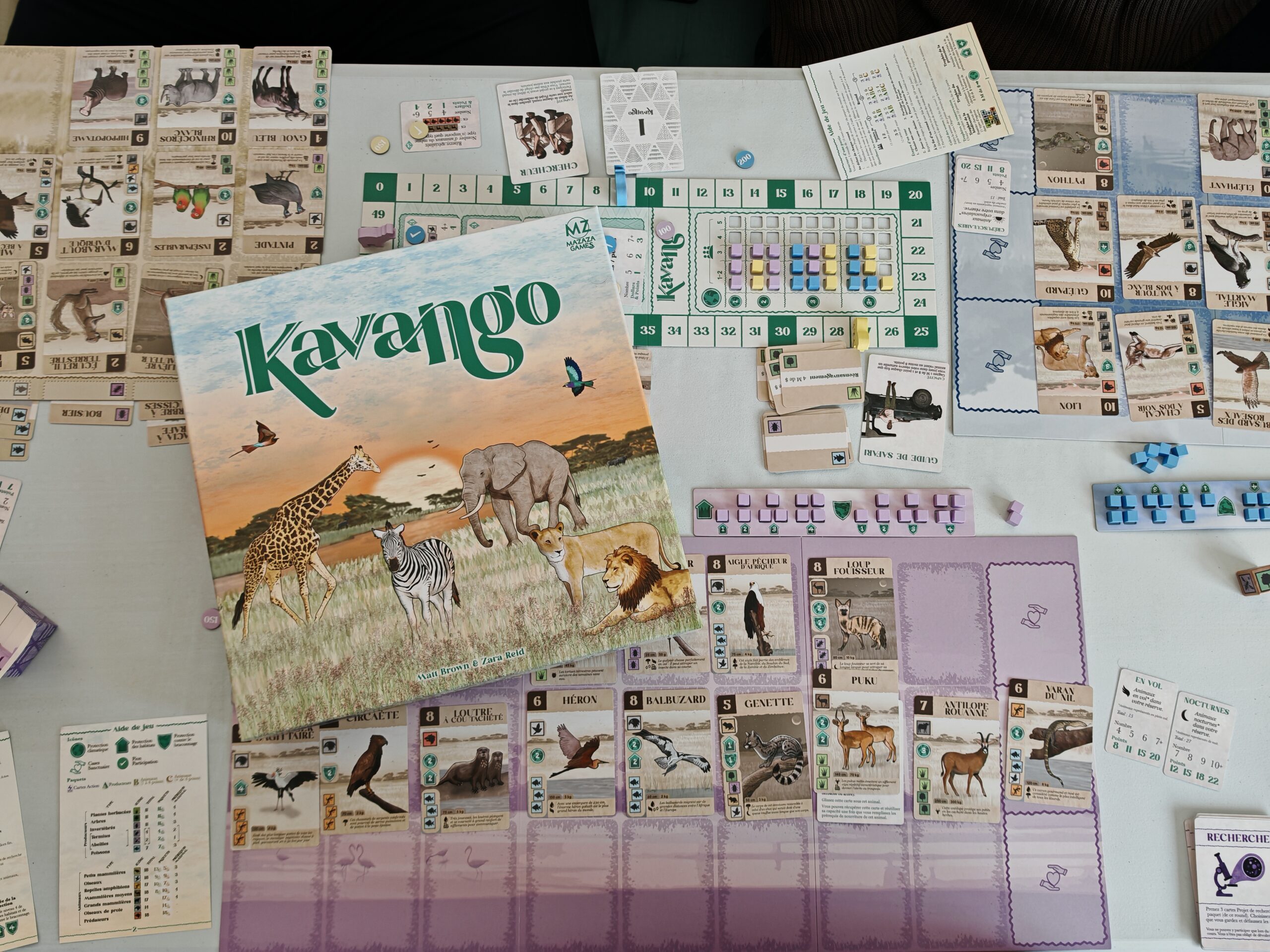 Avis et test du jeu de société Kavango (Mazaza Games)