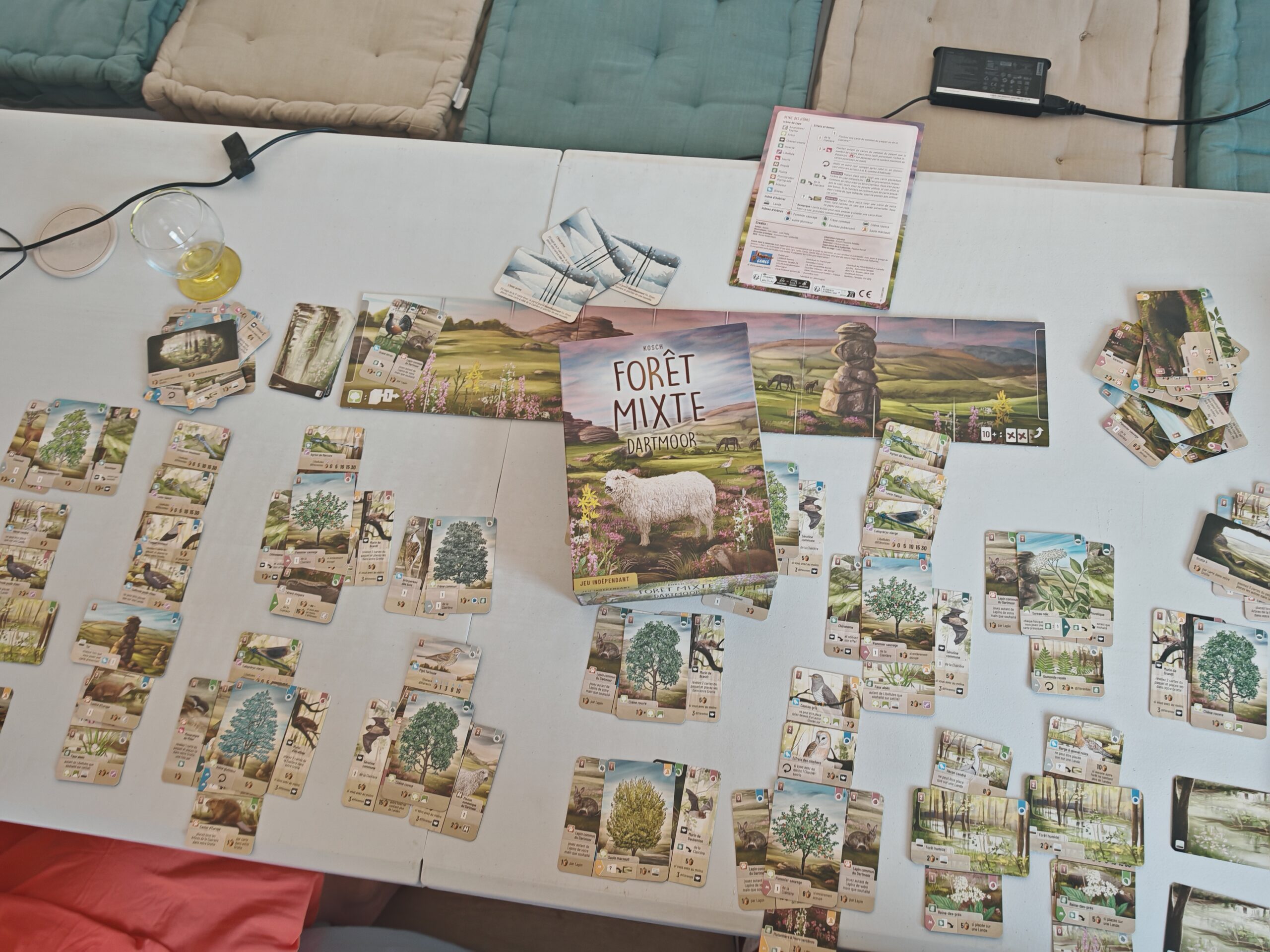 Avis et test de Forêt Mixte – Dartmoor (Lookout Games)