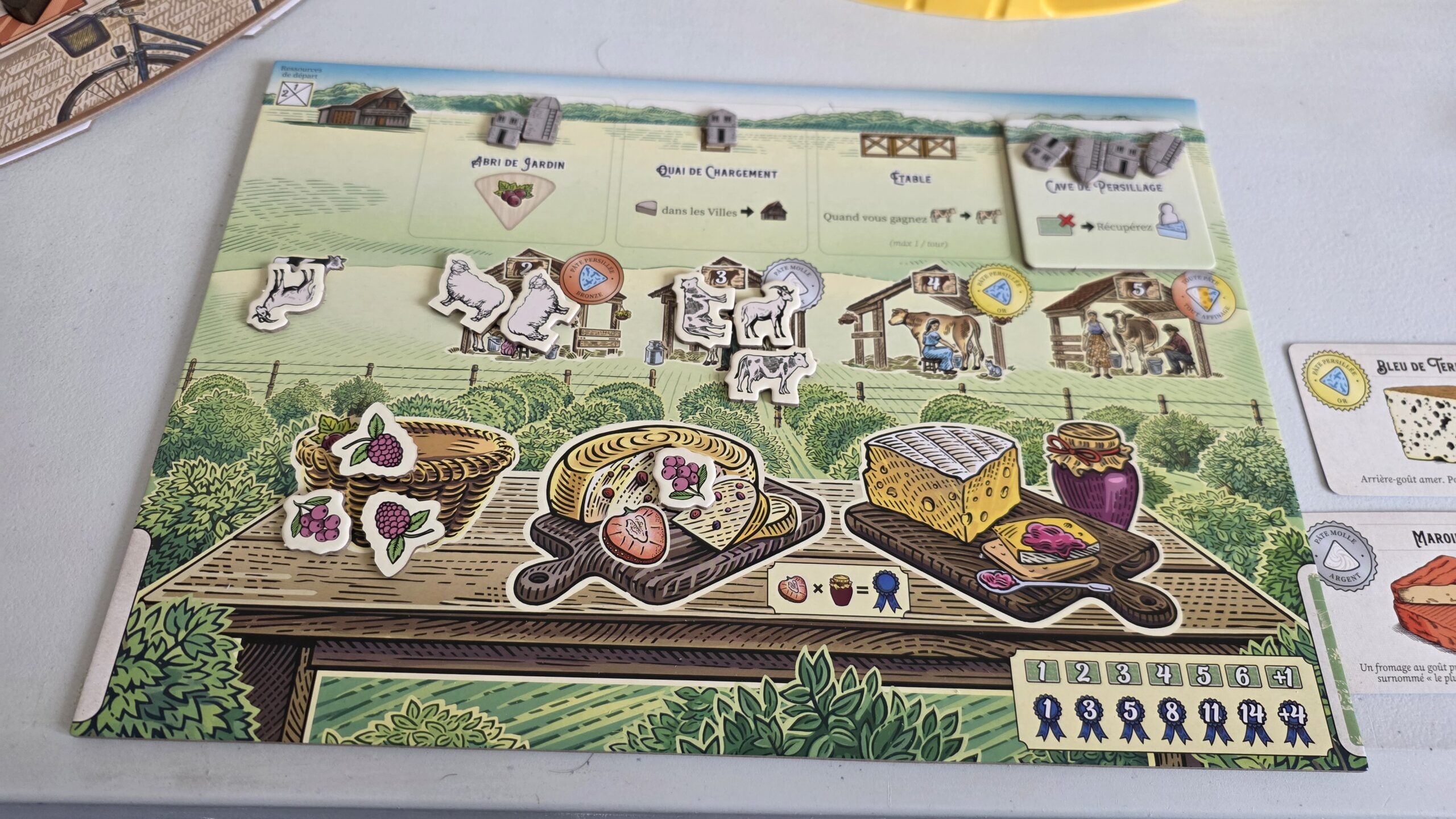 Avis et test du jeu de société Fromage (R2i)