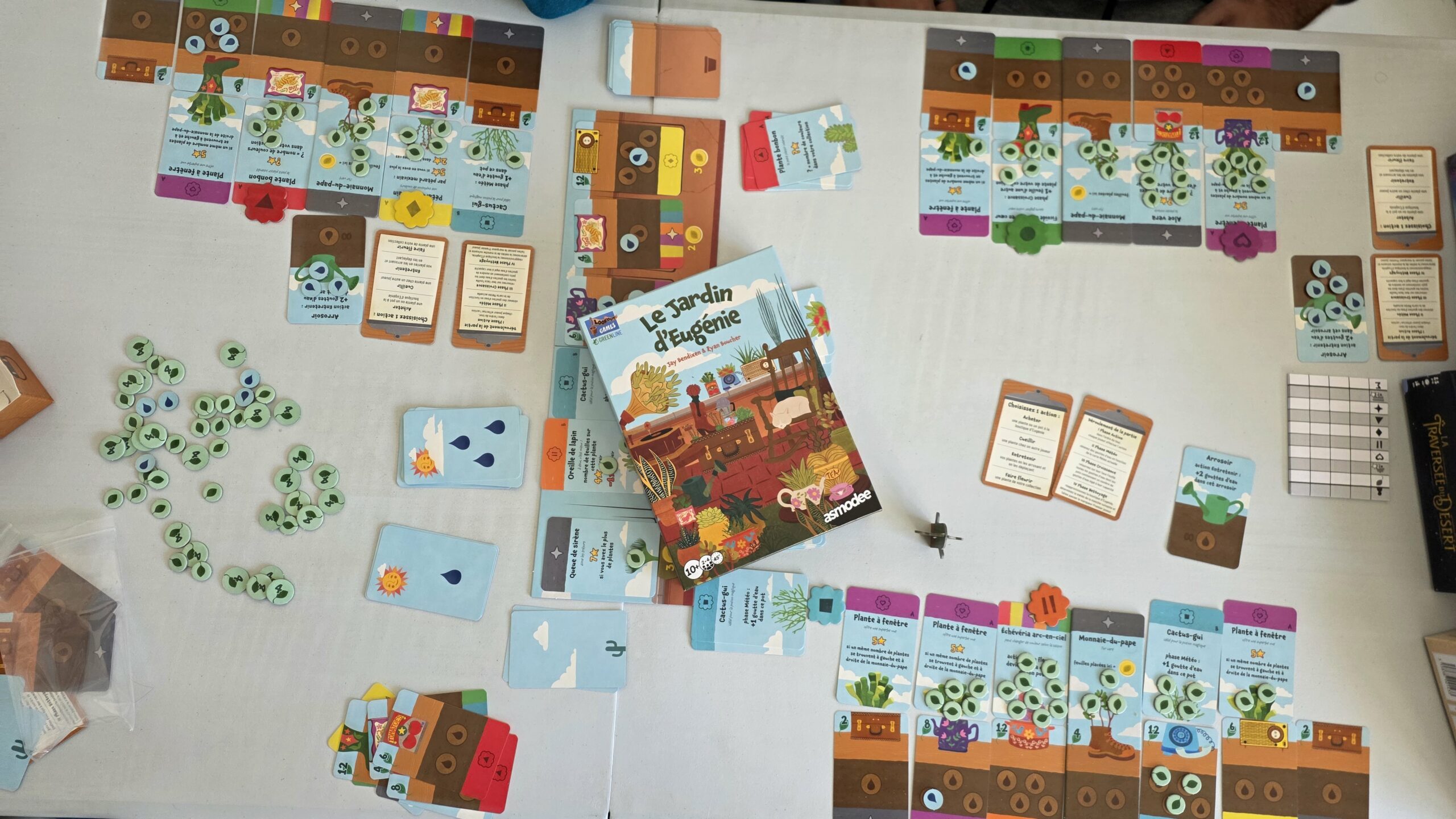 Avis et test du Jardin d'Eugénie (Lookout Games)